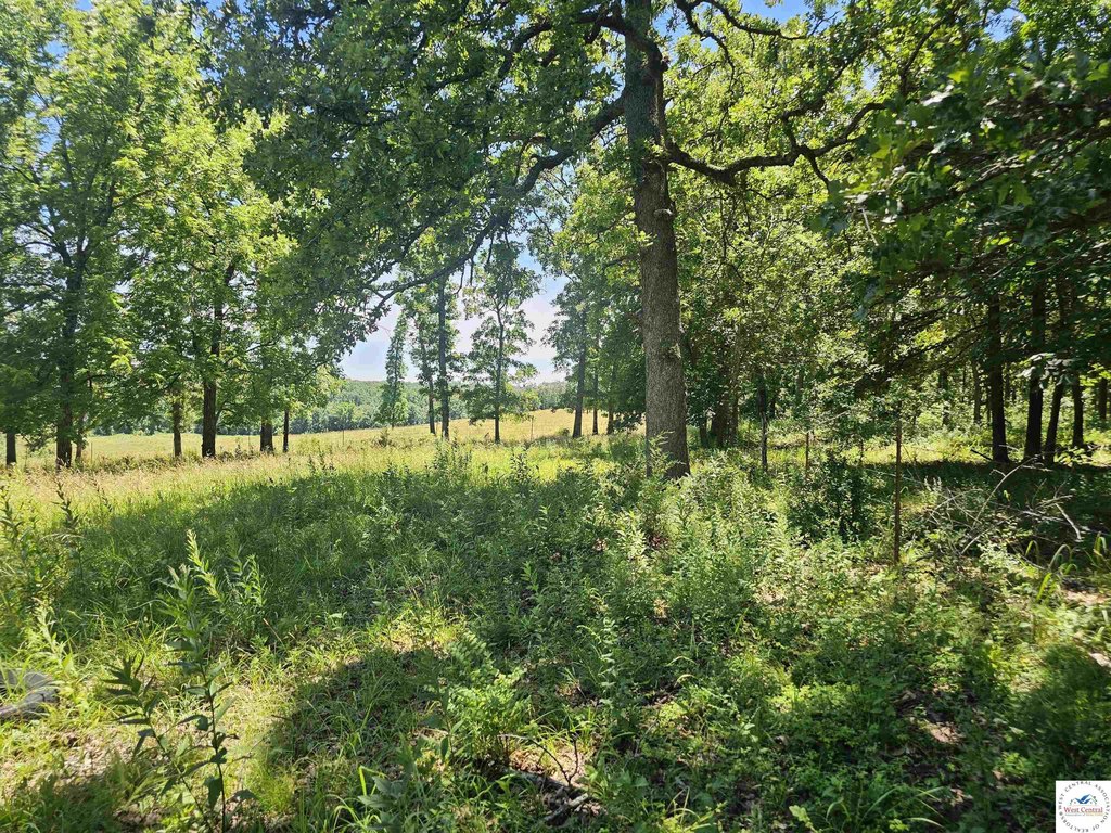 Picture 22