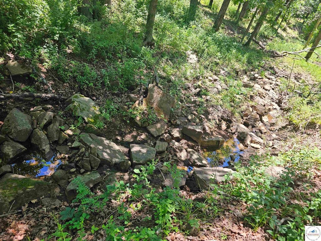 Picture 41