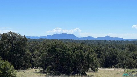 Land, Pie Town, NM