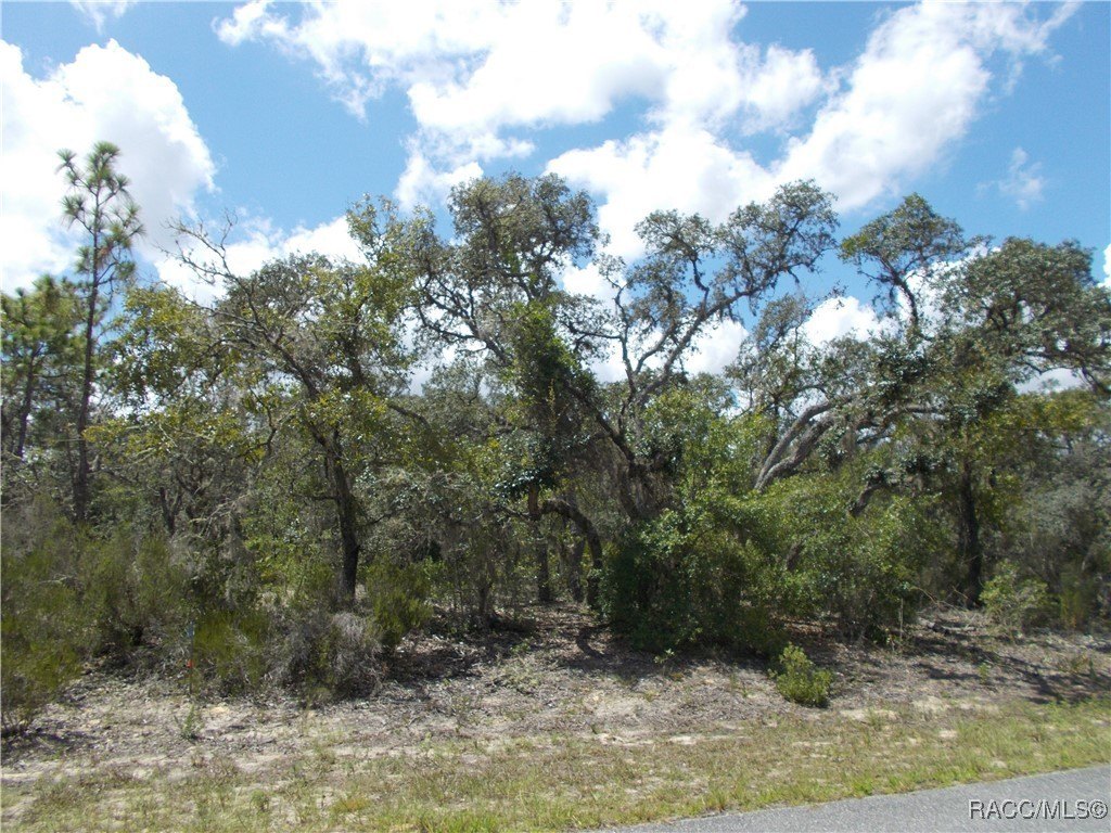 Citrus Springs Building Lot