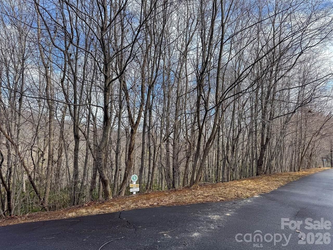 Mountain Homesite in Gated Community