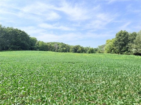 Land, St Croix Falls, WI