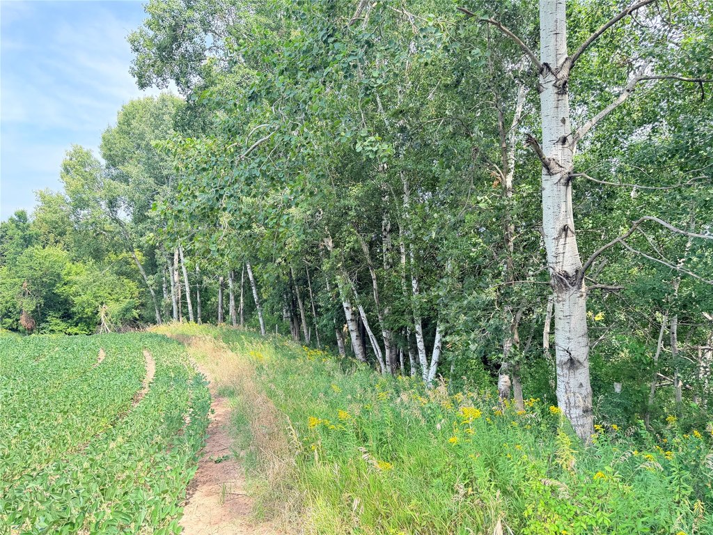 Picture 26