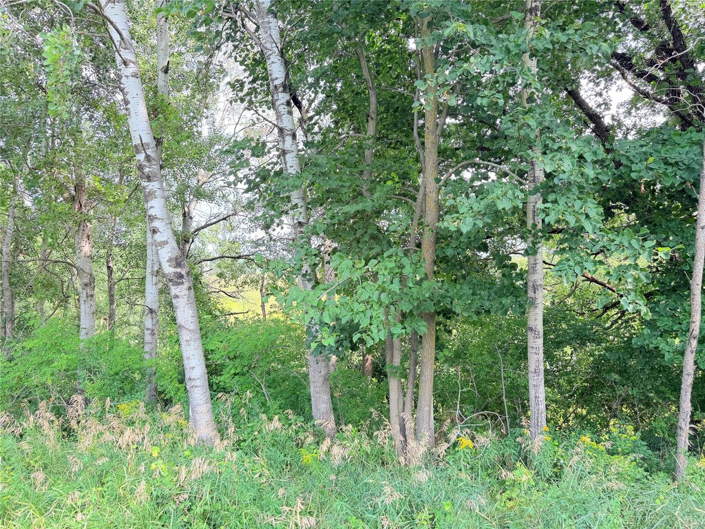 Picture 25