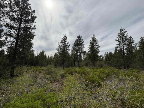 Acreage in Southern Oregon, Bonanza