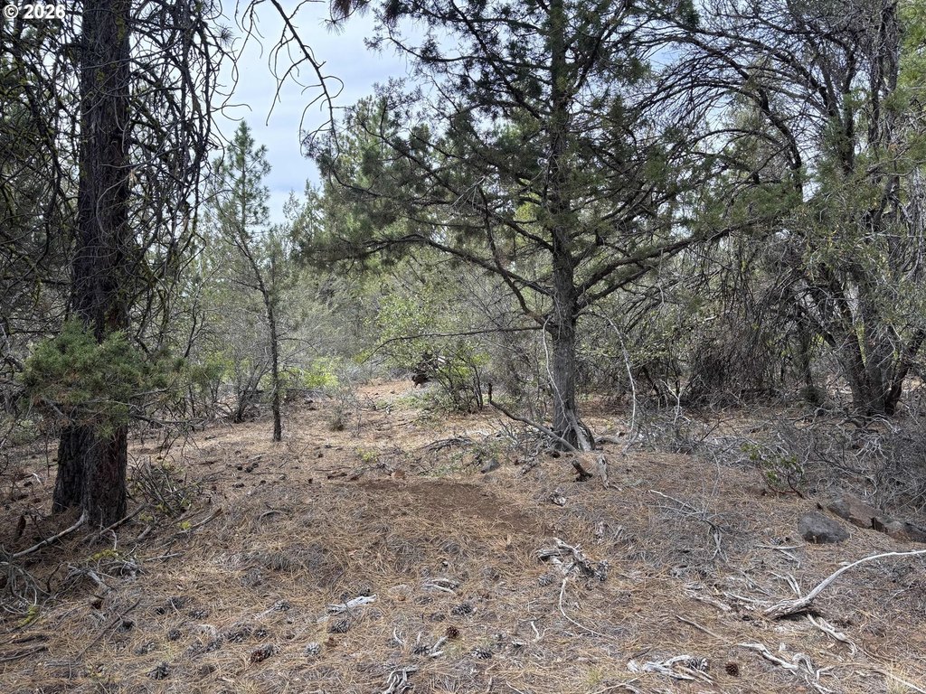 Picture 3