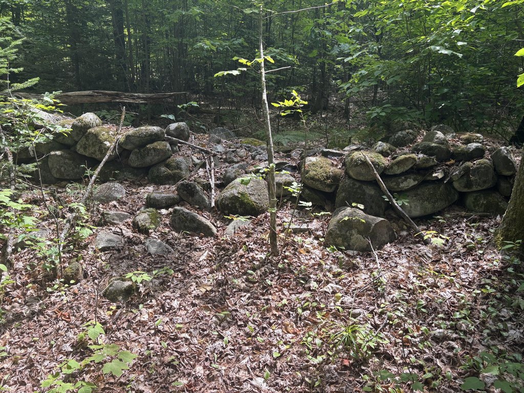 Picture 3