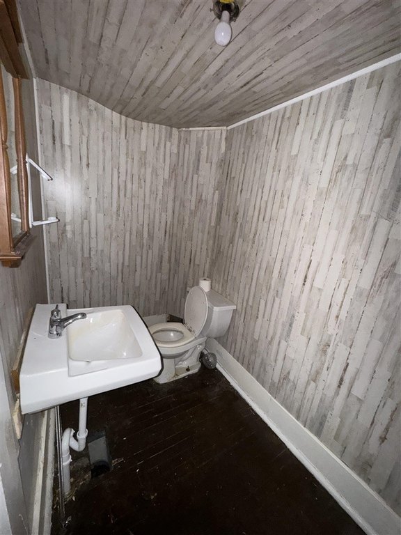 Picture 25