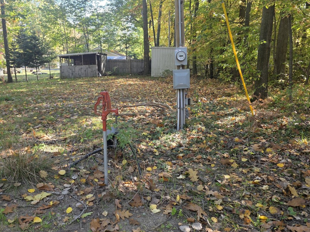 Picture 6