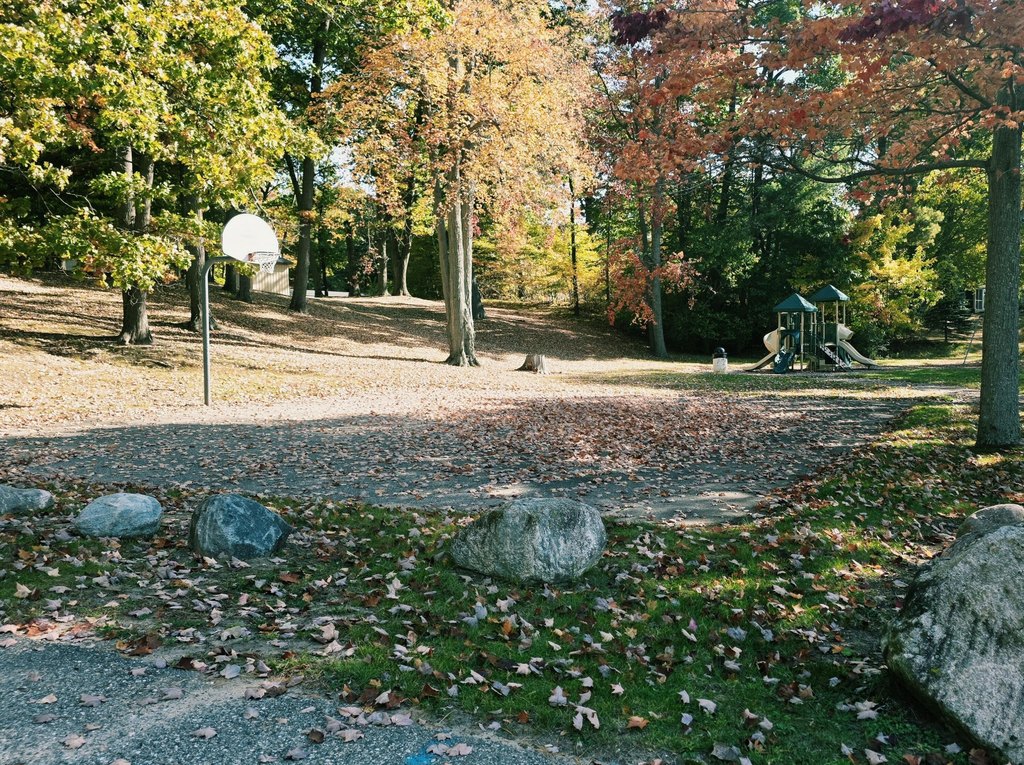 Picture 13