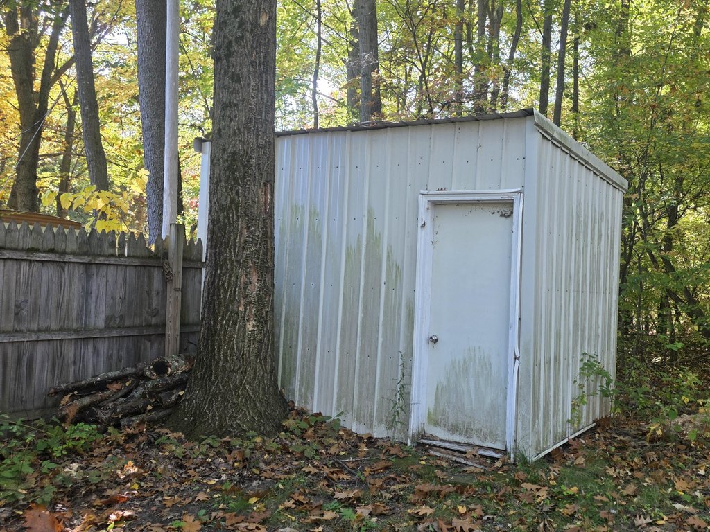 Picture 5