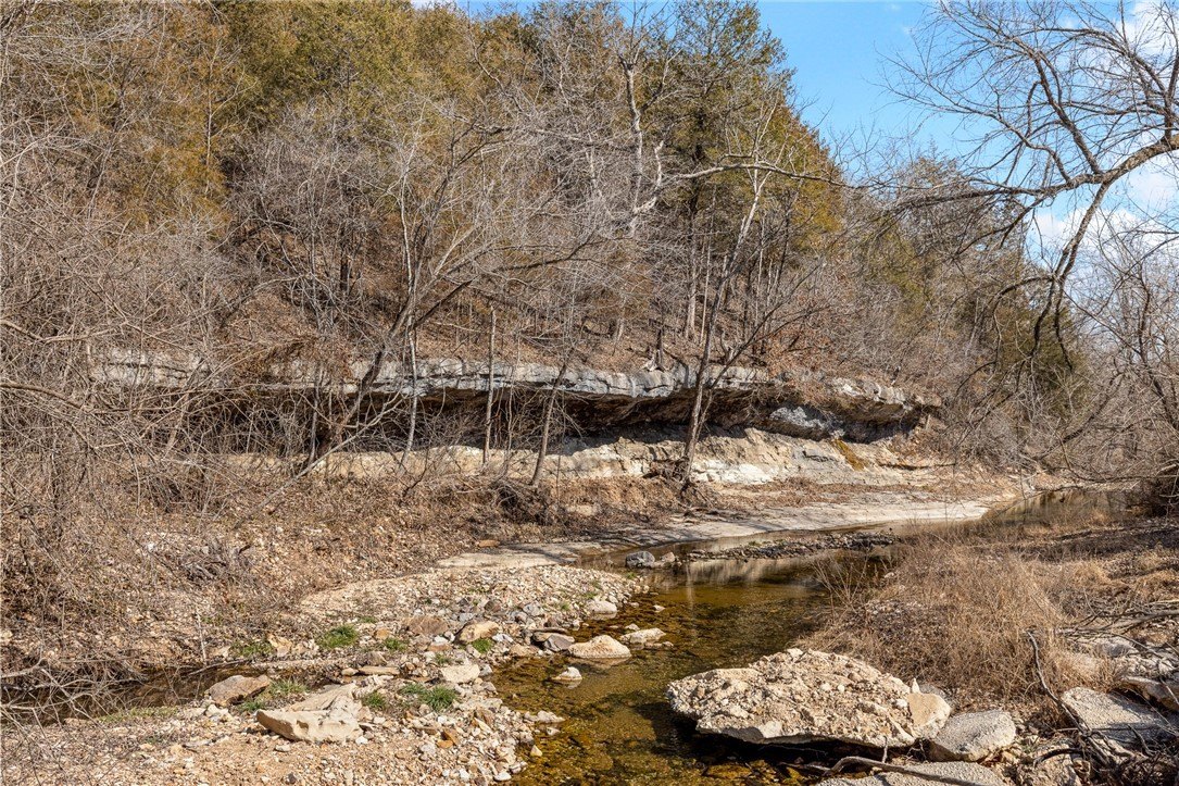 Ozarks Paradise with Creek