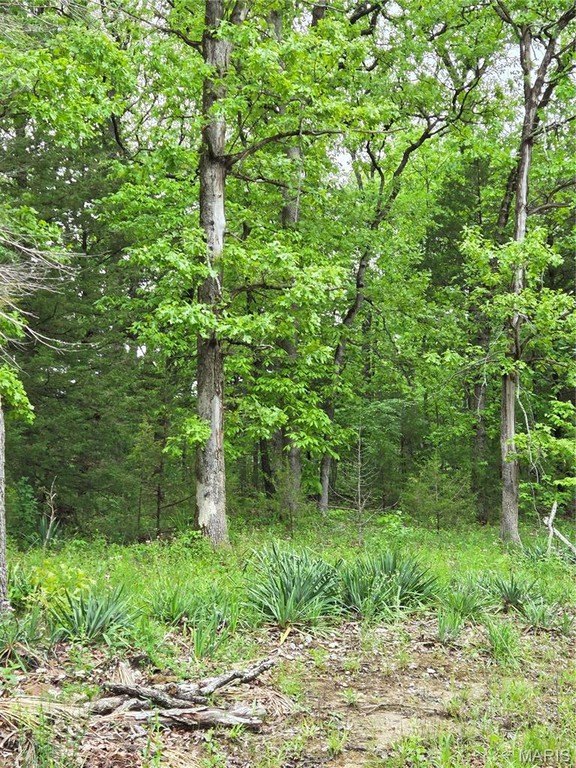 Picture 8