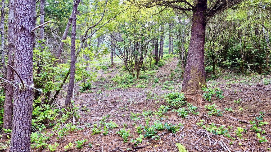Picture 16
