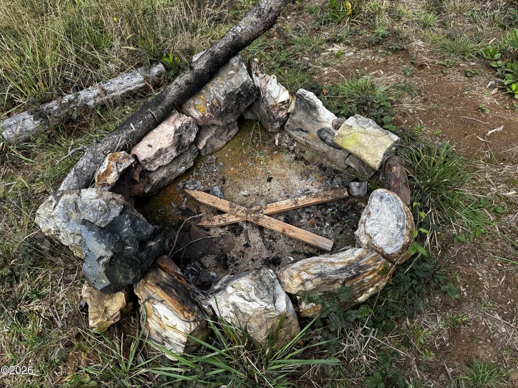 Picture 11