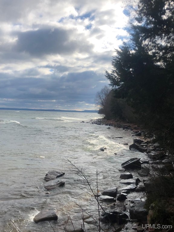 Picture 7