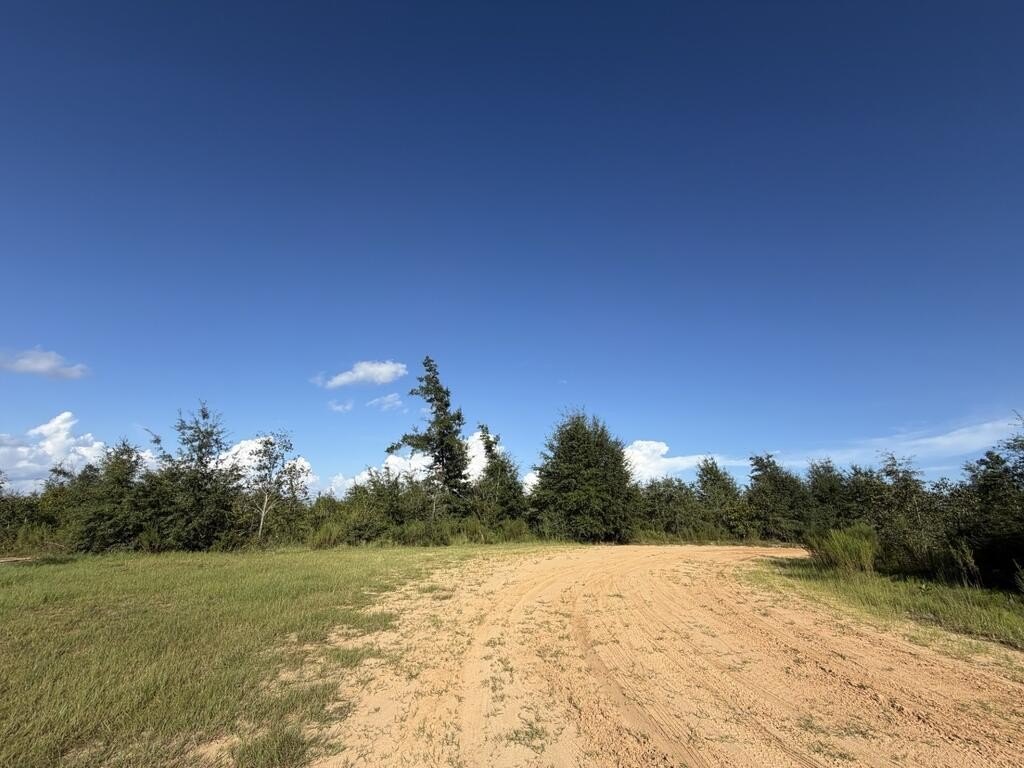 Picture 16