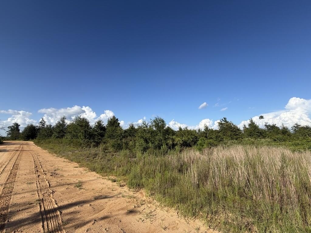 Picture 20