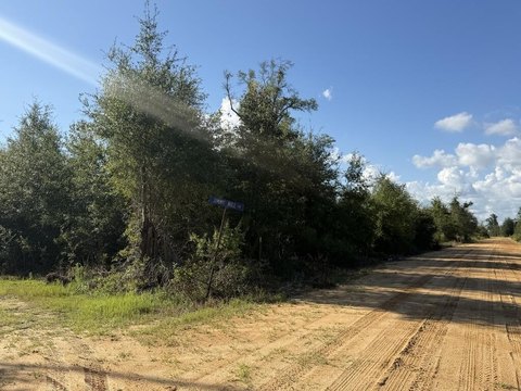 LAND - Clarksville, FL