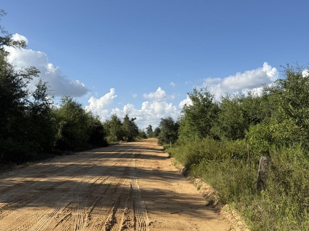 Picture 19