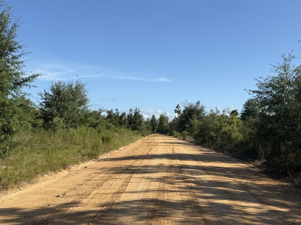Picture 18