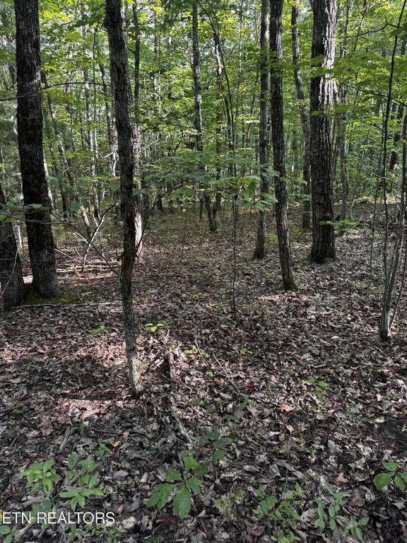 Picture 17