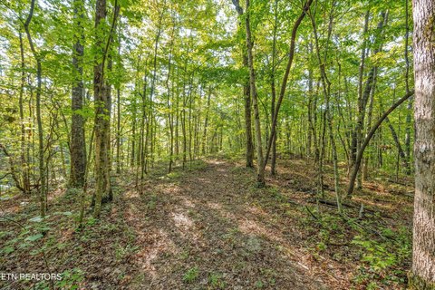 Lots & Acreage, Tallassee, TN
