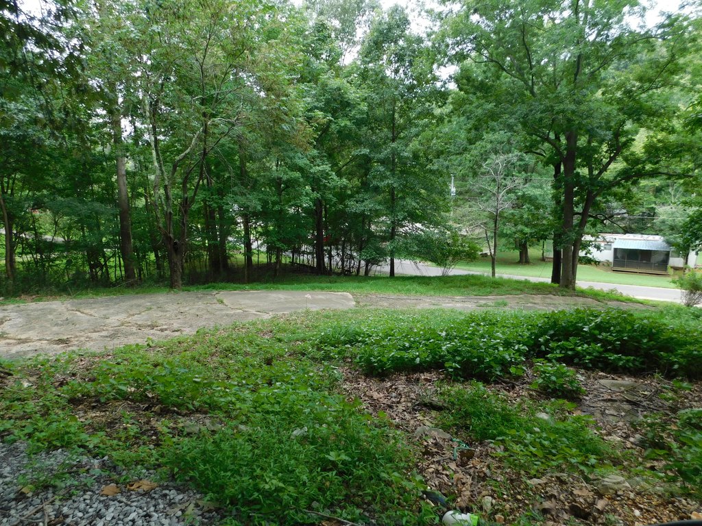 Picture 18