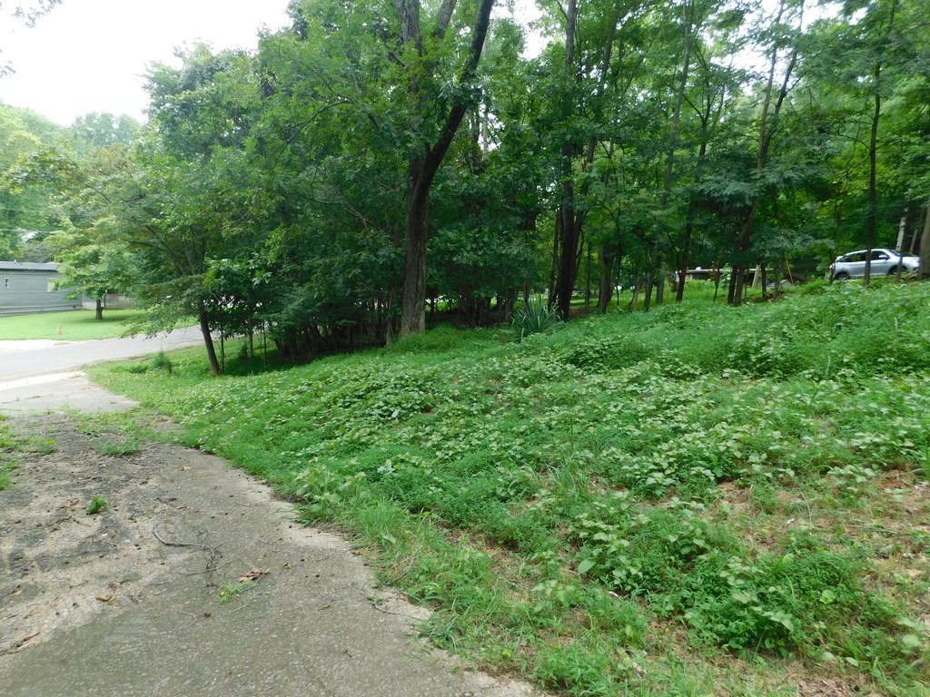 Picture 12