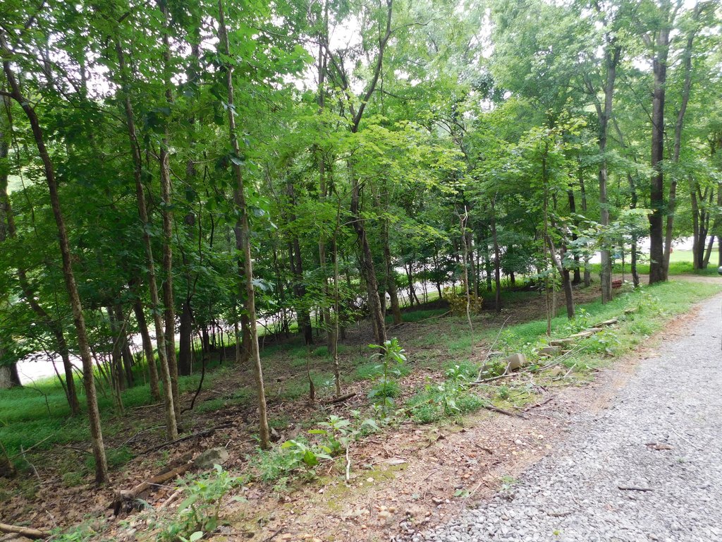 Picture 5