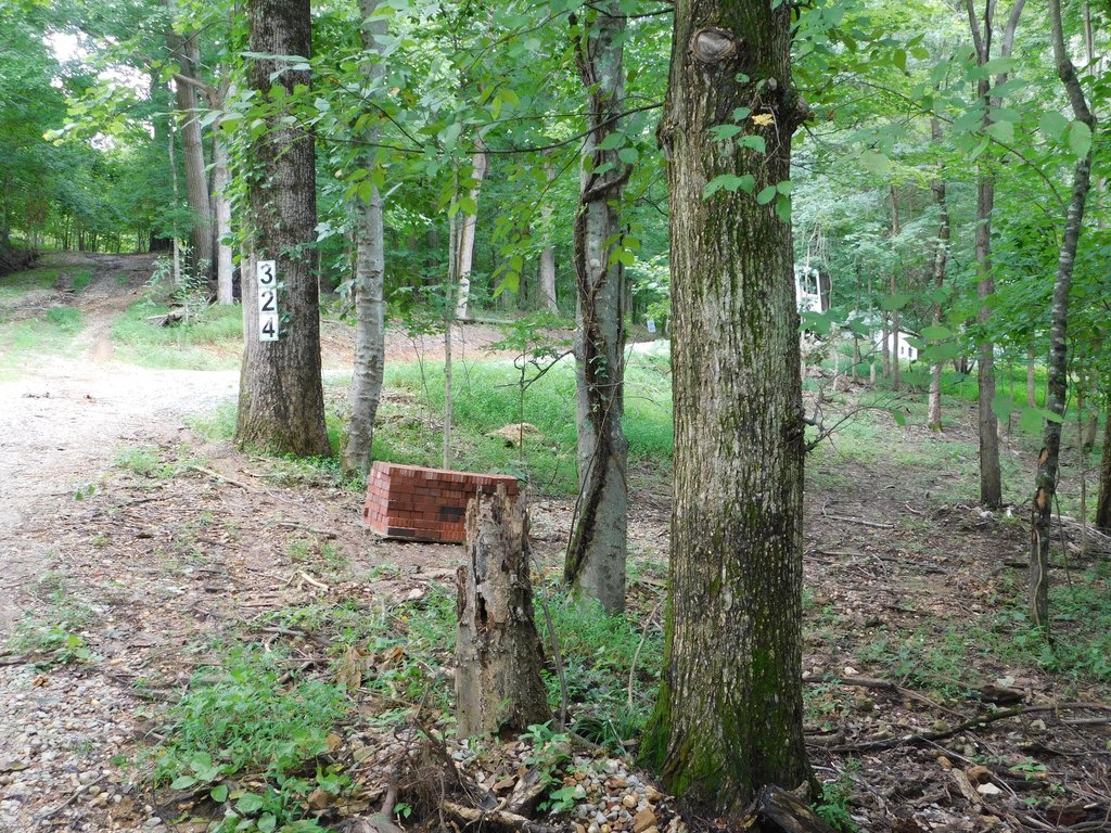 Picture 2