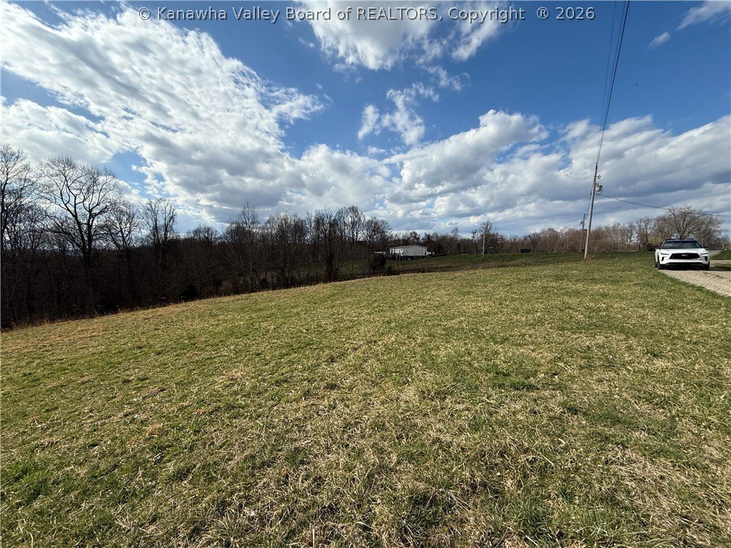 Picture 6