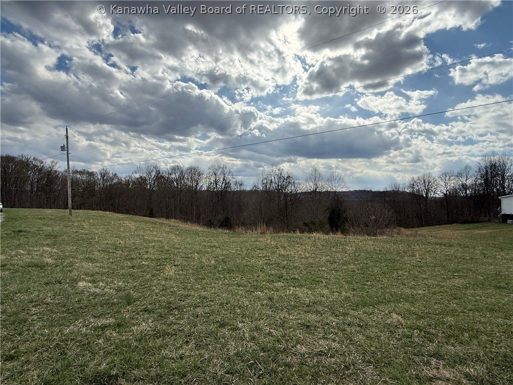 Picture 3