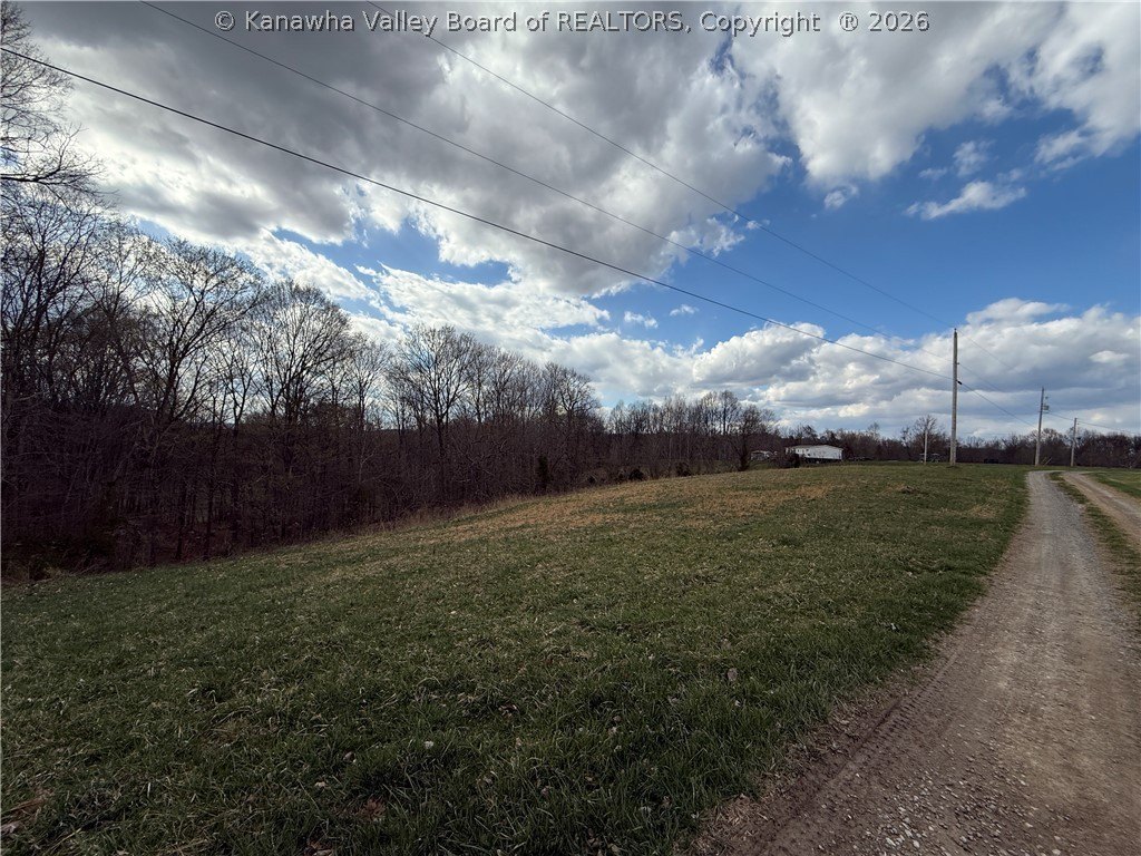 Picture 7