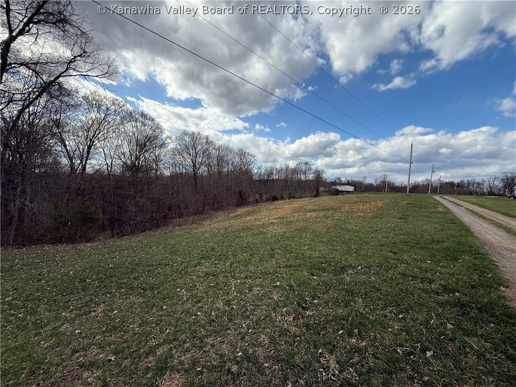Picture 2