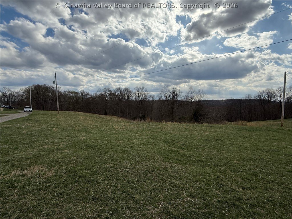Picture 5