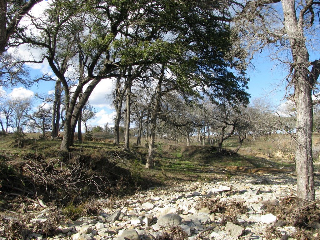 Picture 14