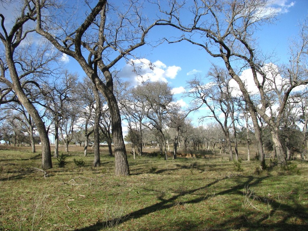 Picture 9