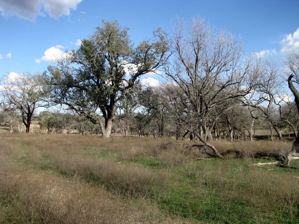 Picture 8