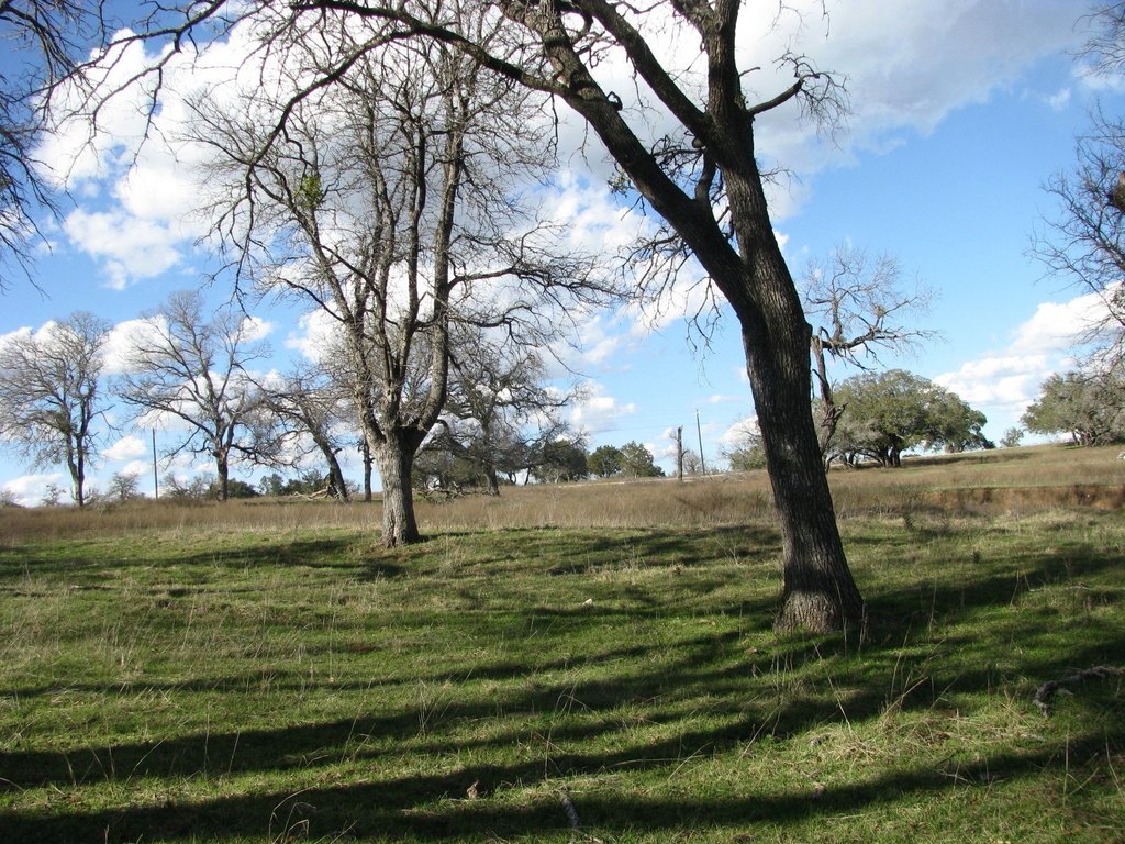 Picture 16