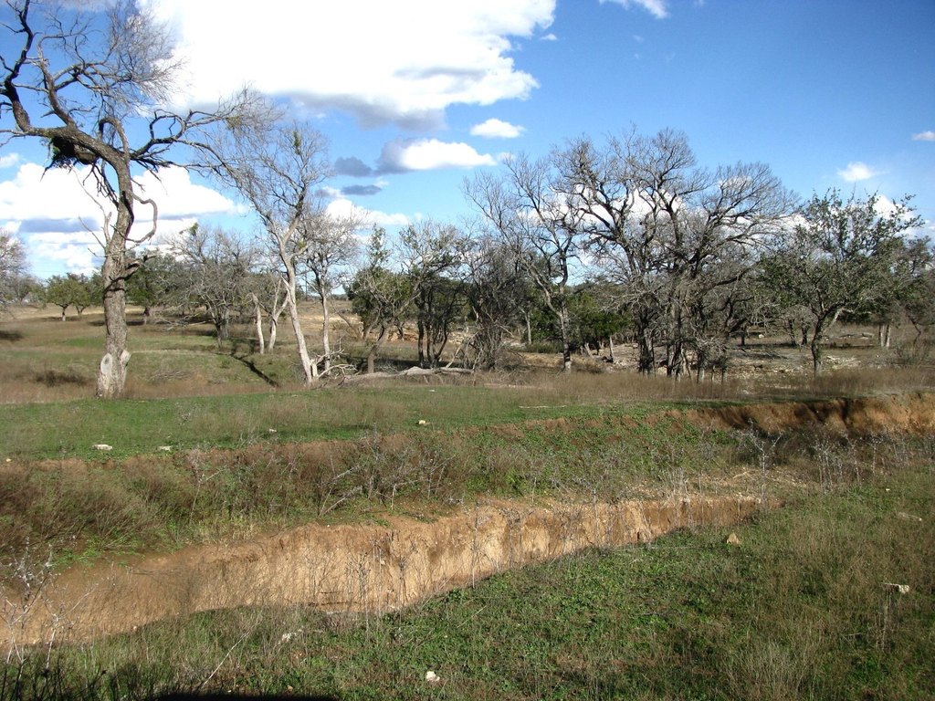 Picture 18