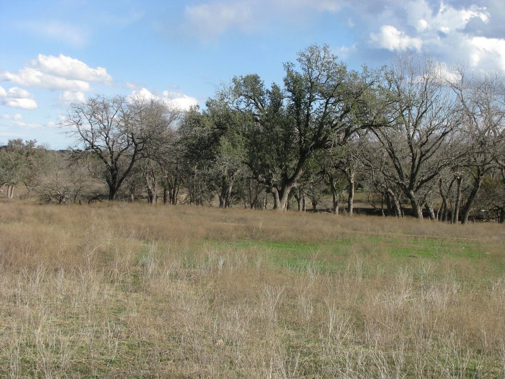 Picture 7