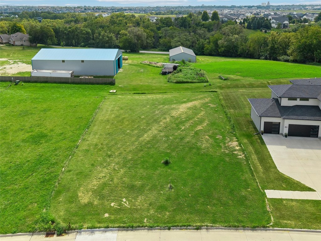 Picture 5