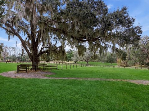 Prime Ocala Organic Farm Land