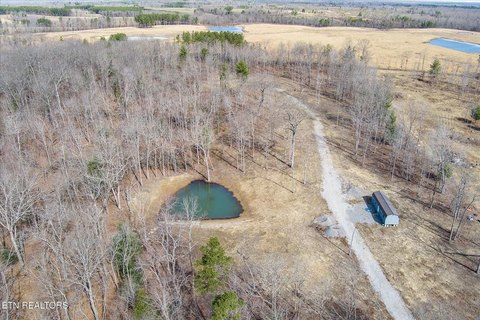 Unrestricted Land in Deer Lodge, TN