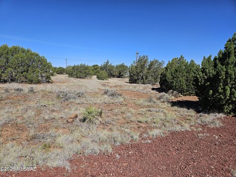 LAND - Show Low, AZ