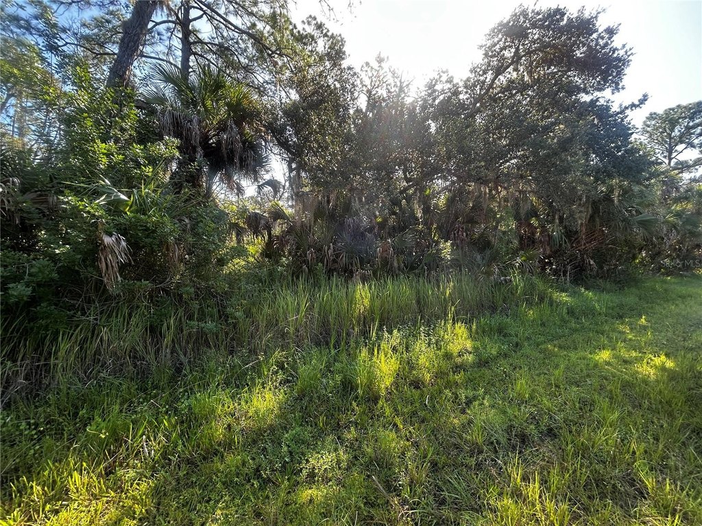 Picture 4