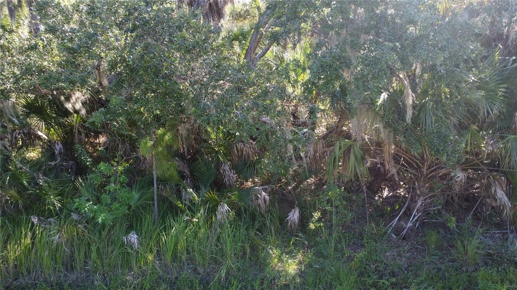 Picture 7