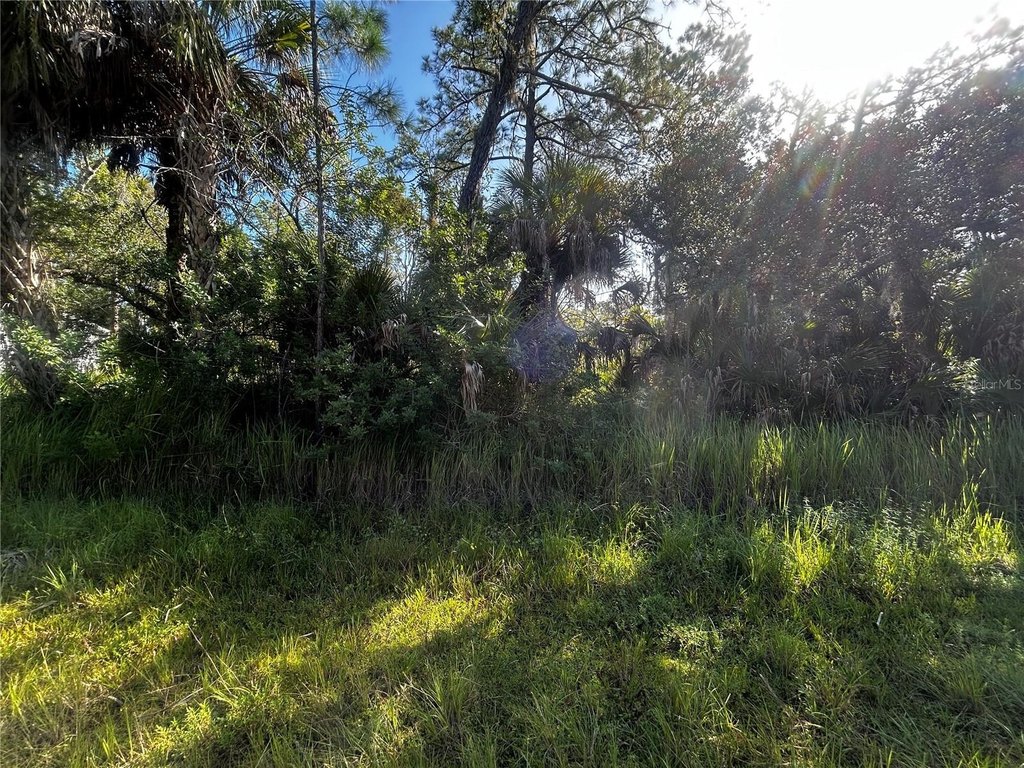 Picture 2
