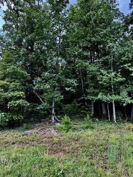 LAND - Heber Springs, AR